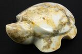 Polished Orbicular King Cobra Jasper Turtle - India #311898-1